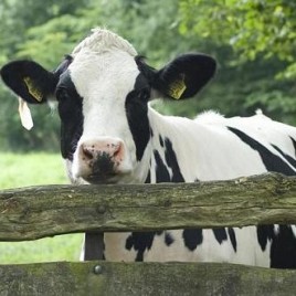 Lekker in de buurt, de grensland middagtocht