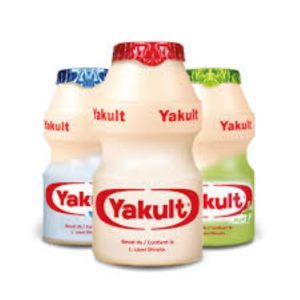 Een dagje naar Yakult, gewoon omdat het kan! Met ter Beek Reizen