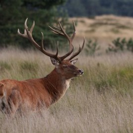 Gezellig met ter Beek Reizen mee naar Kroondomeinen en zandsculpturen.